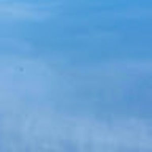 Meet your Posher, Eliza